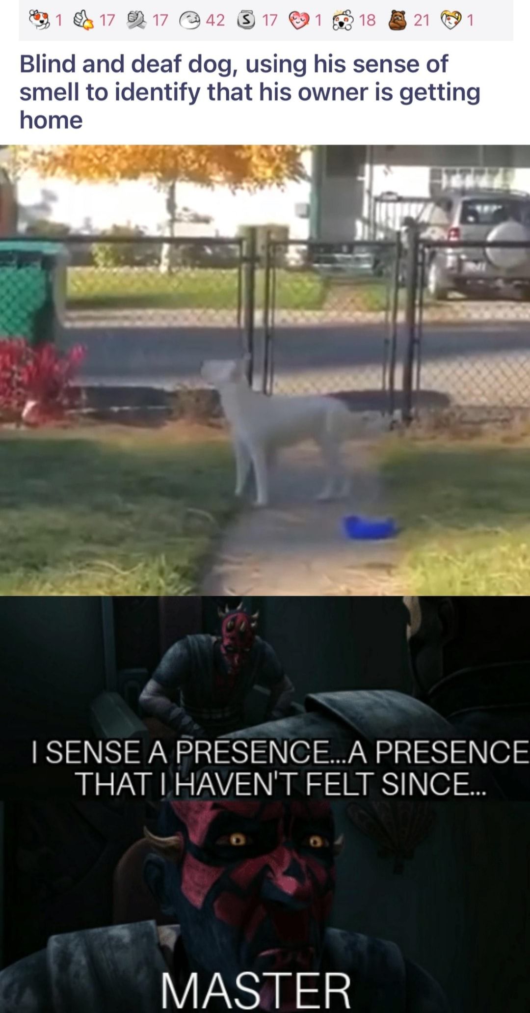 This is very wholesome <3