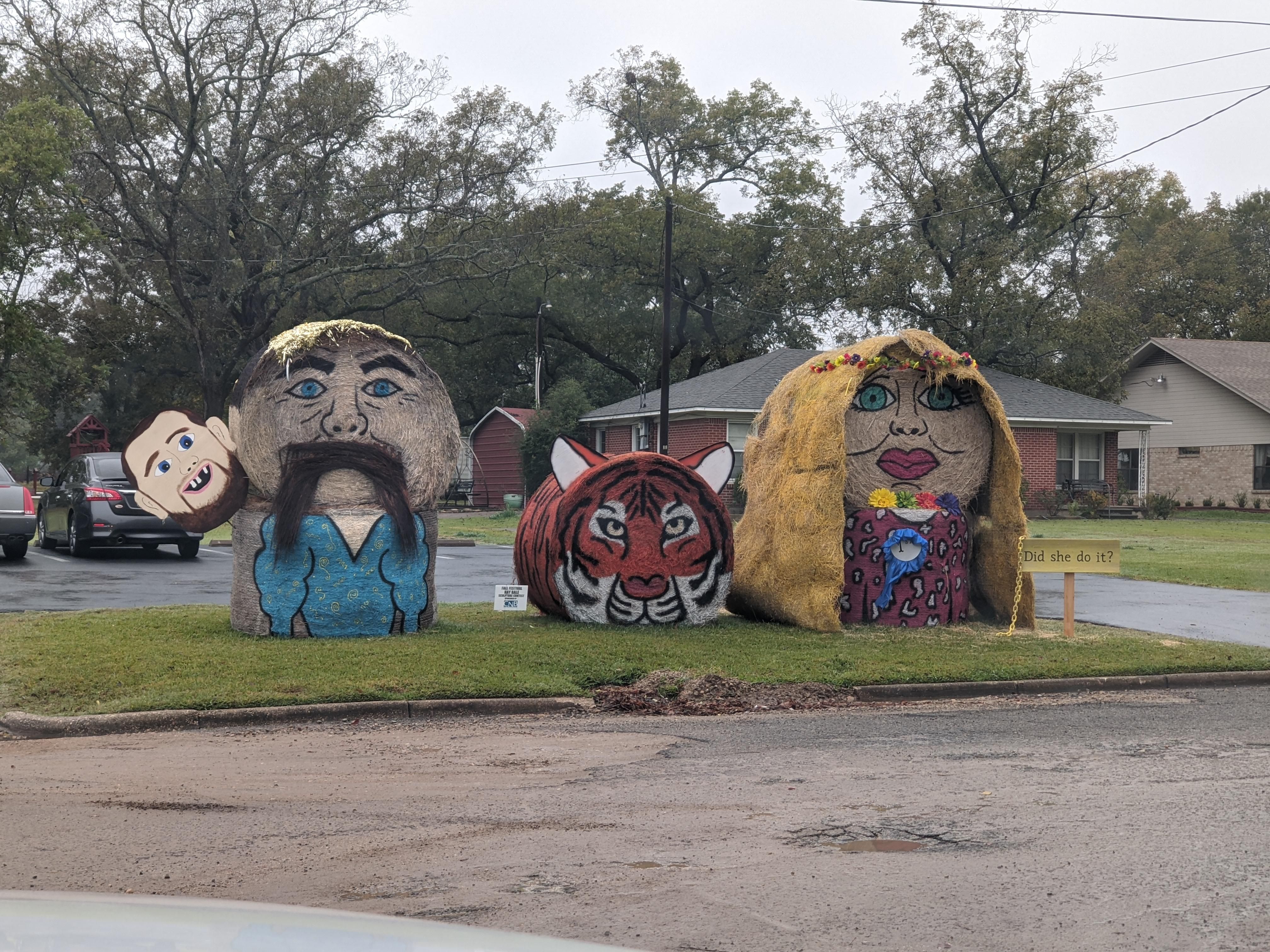 Our town today local hay bale decoration contest for Halloween. This is one of them.