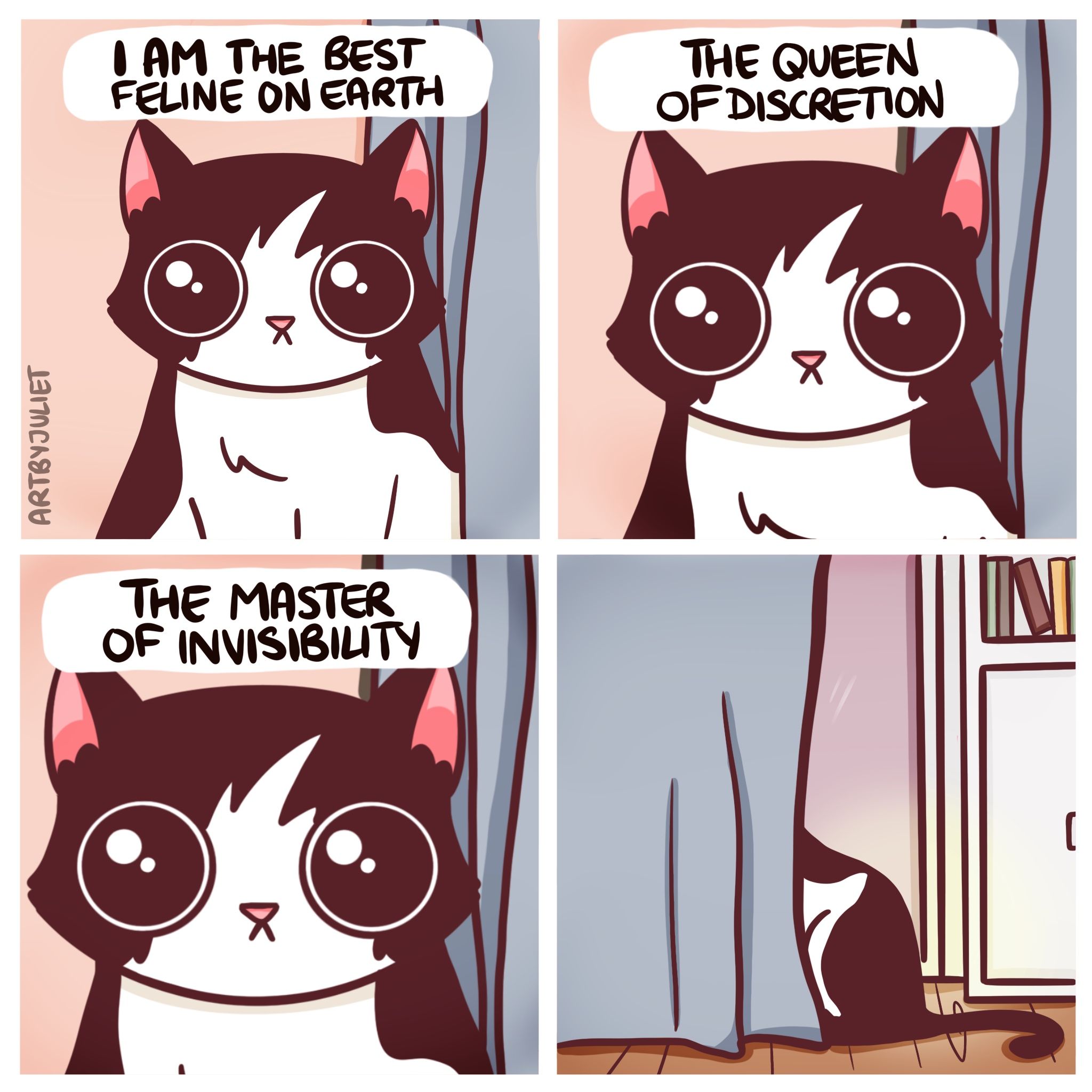 Master of invisibility