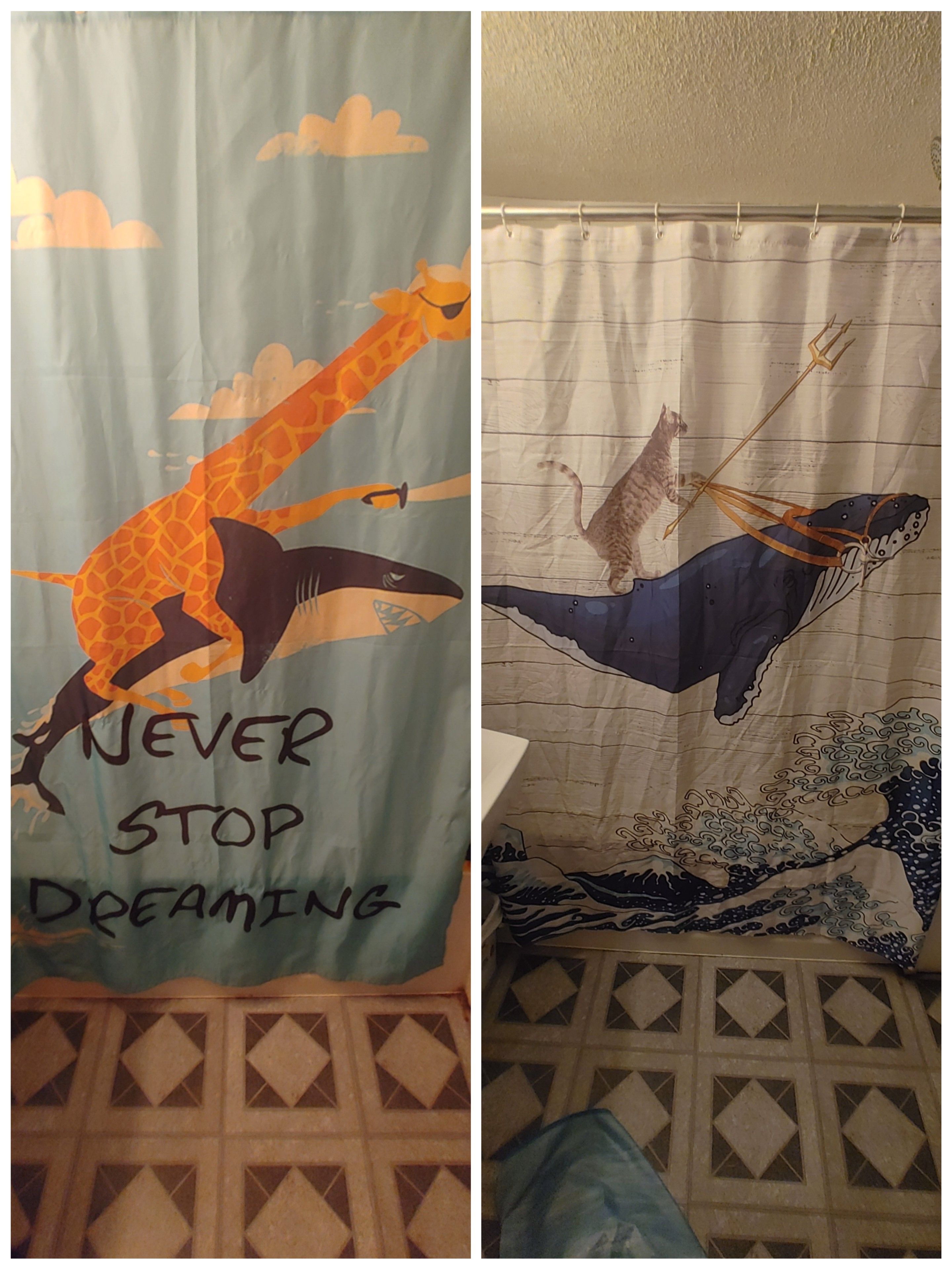 I've had the same giraffe shower curtain since I moved in a few years ago. At 26, I thought it was time to get a more serious curtain.