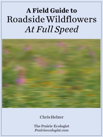 unlike y'all, I only read enlightened literature