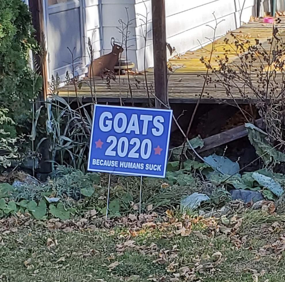 My neighbor has a sense of humor.
