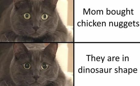 Dino