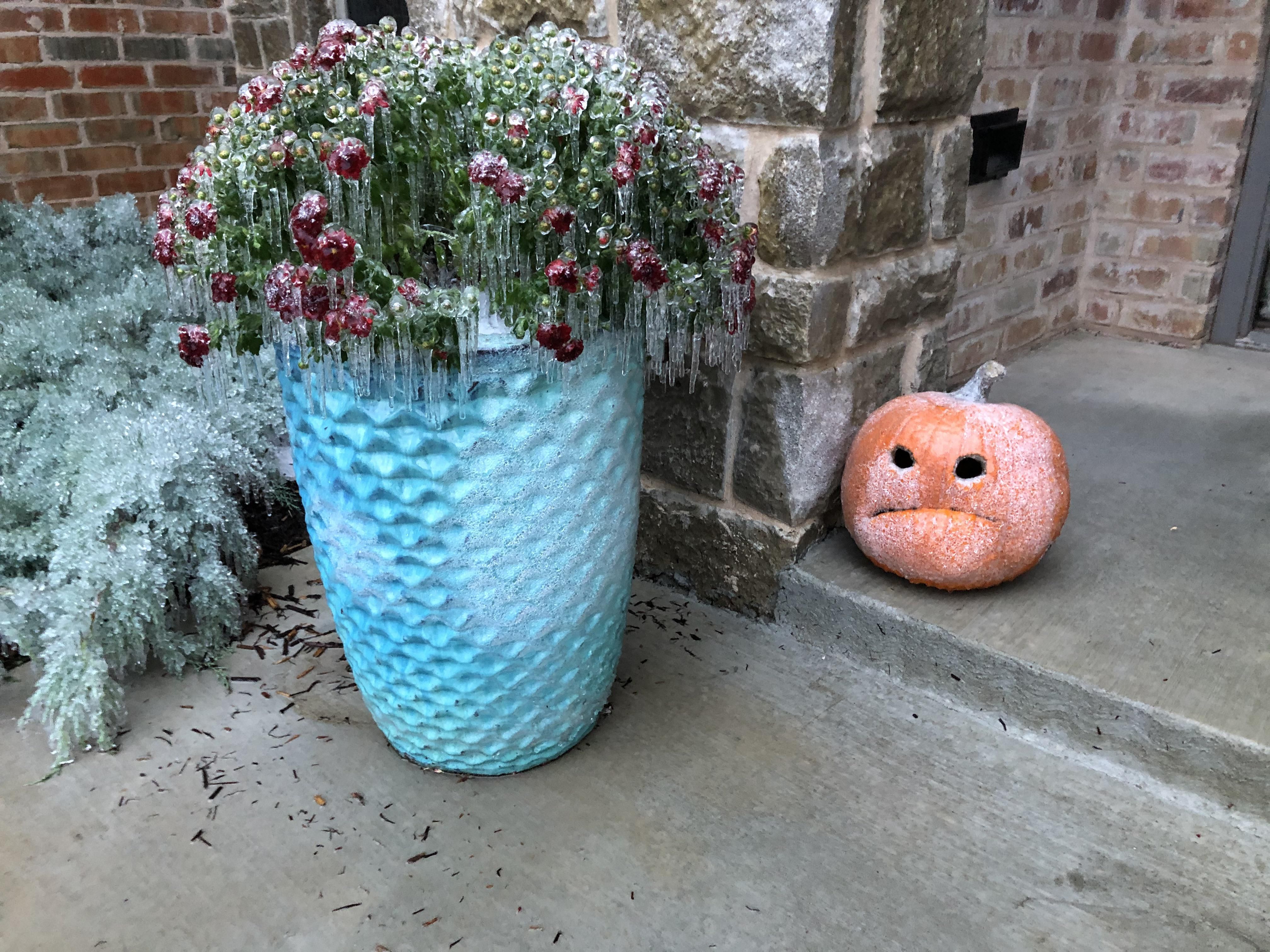 Had an ice storm a few days ago. My pumpkin didn’t seem very happy about it.