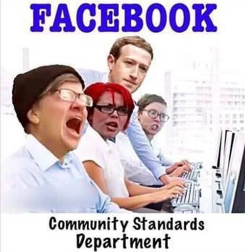 reeeeeevisionists