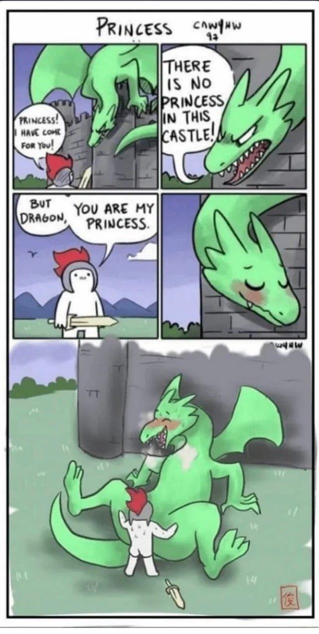 princess dragon