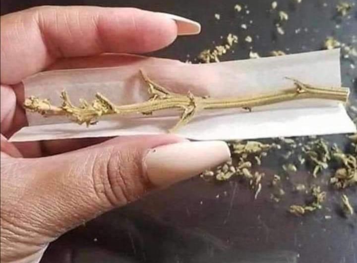 If 2020 was a joint