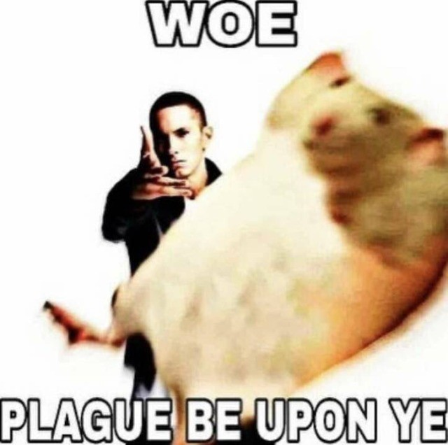 posting at this time so my european brethren downvote me more often (also here's a plague hehe)