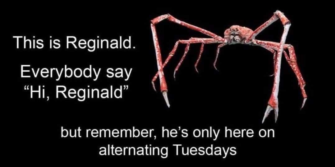 Alternating tuesday's Reginald