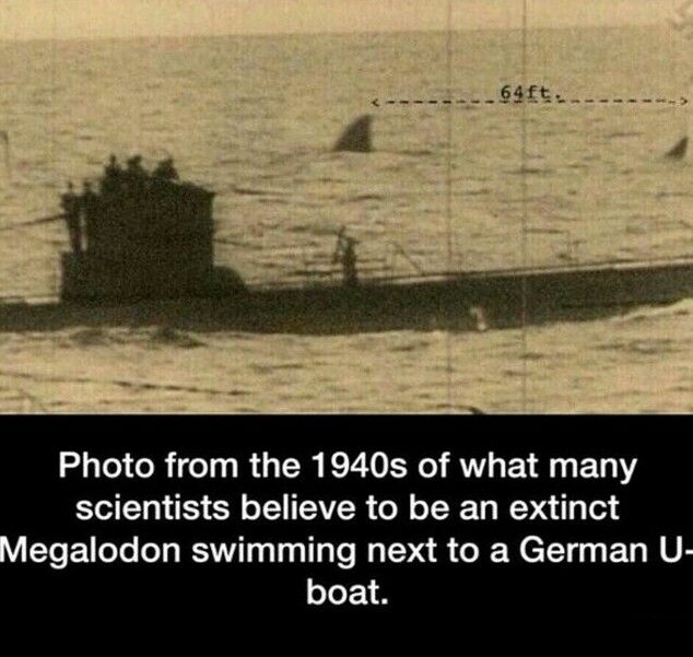 das boot