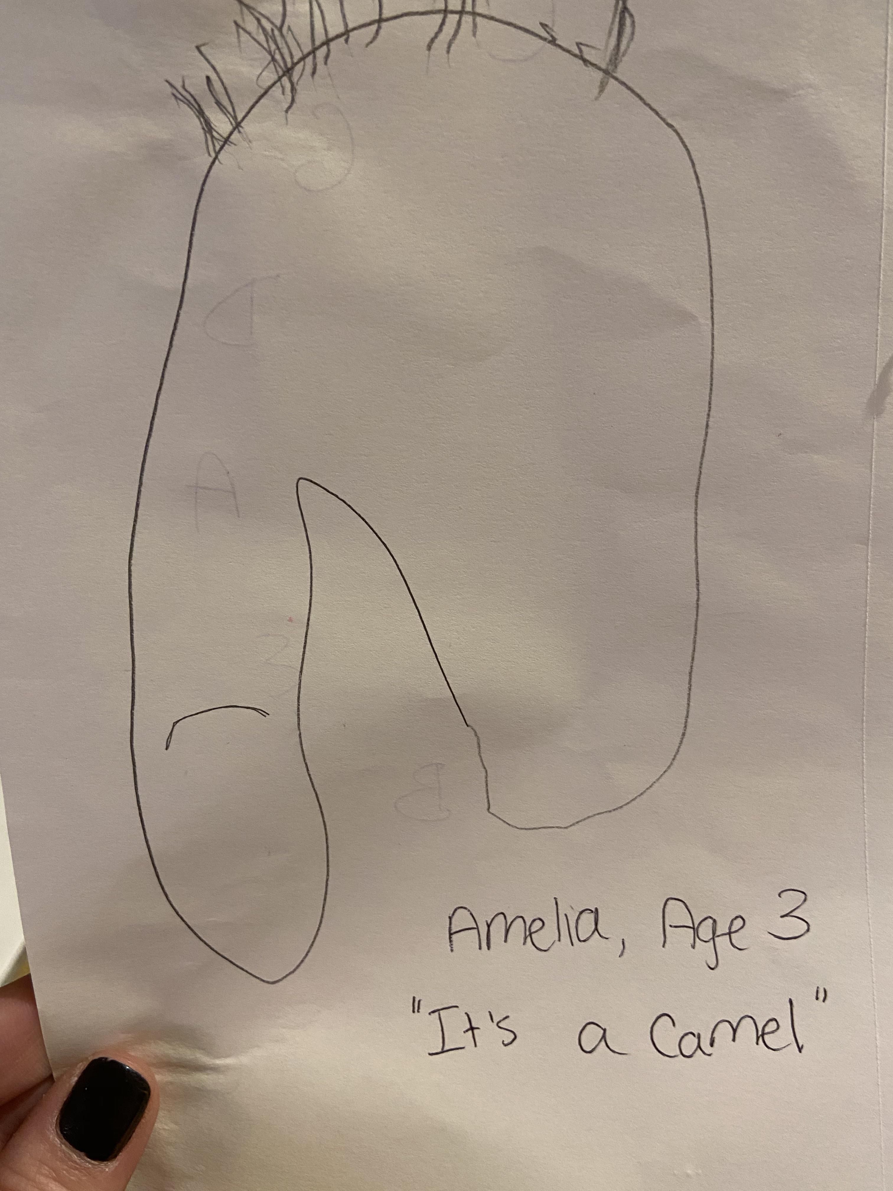My 3-year-old drew a camel.