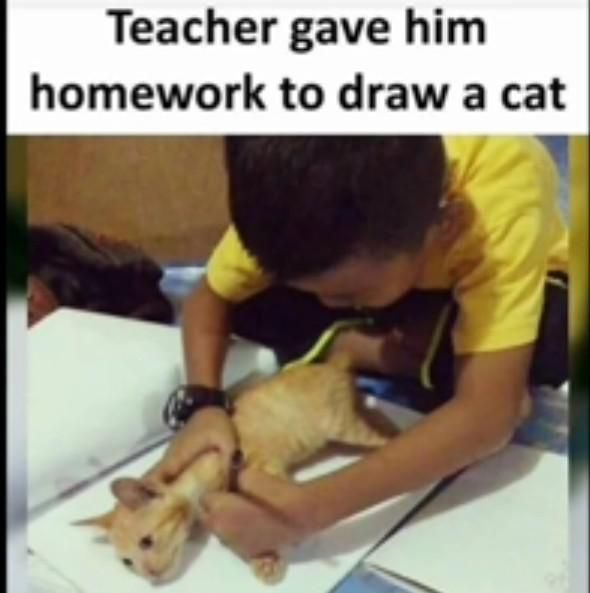 Thank god teacher didn't said to draw a snake or lion