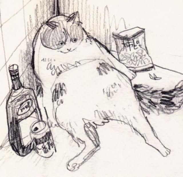 This drawing of a cat. That's it.