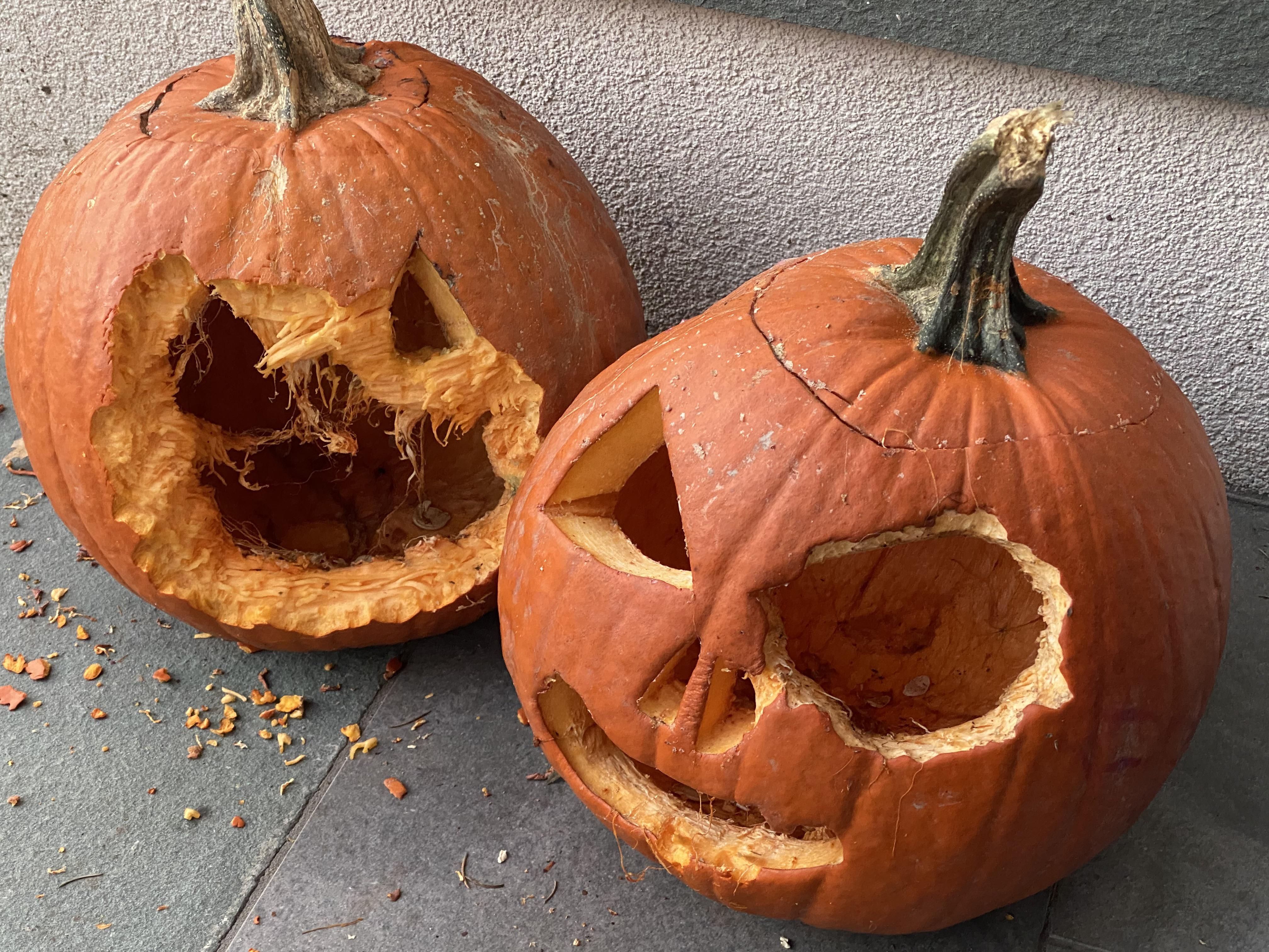 A squirrel ate it’s face so my kids now call it - Zombie Pumpkin