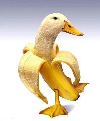 Meet Stripper Buck - half Stripper, half Banana, half Duck - but still Peace is no option tho
