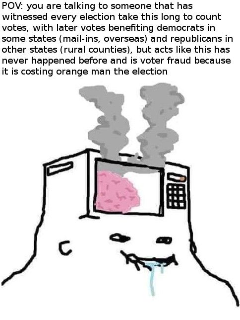 MaiL-In BaLlOts ArE FrOuD ; BuT AlSo CoUnT ThE vOtE WheRe We aRe LoSinG breh