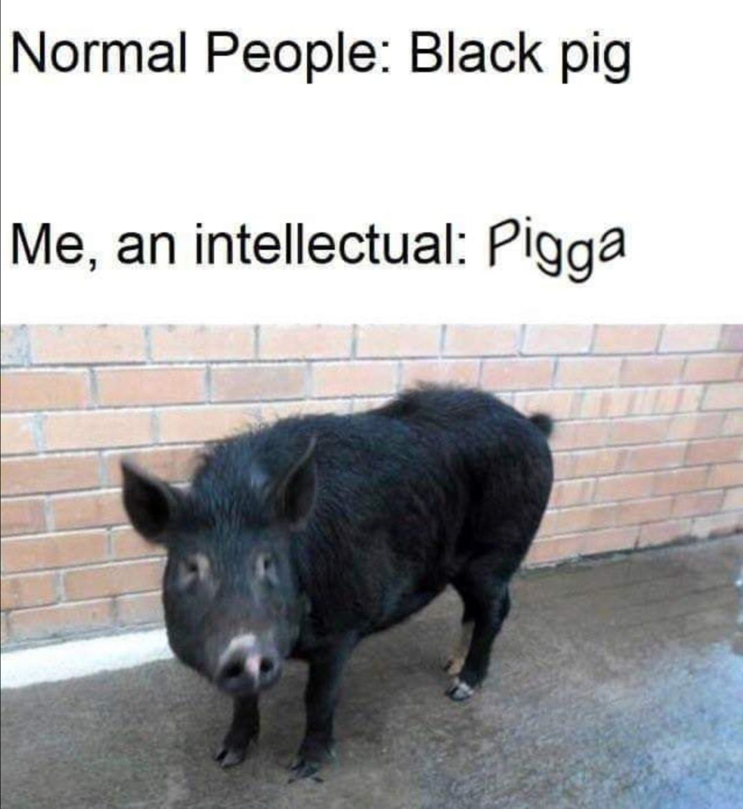 Piggy