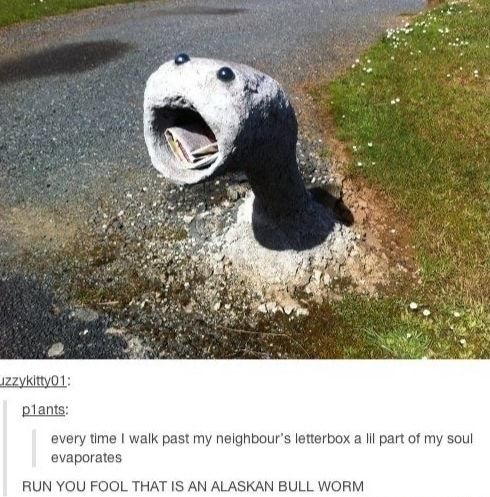RUN!