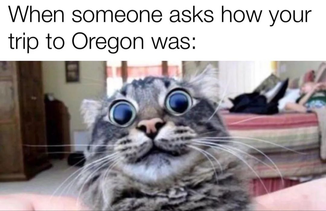 Can you share?