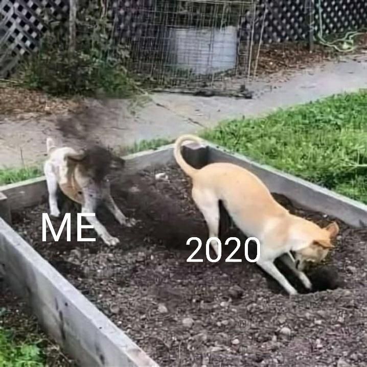 2020 been like