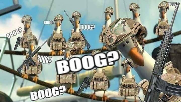 Boog?