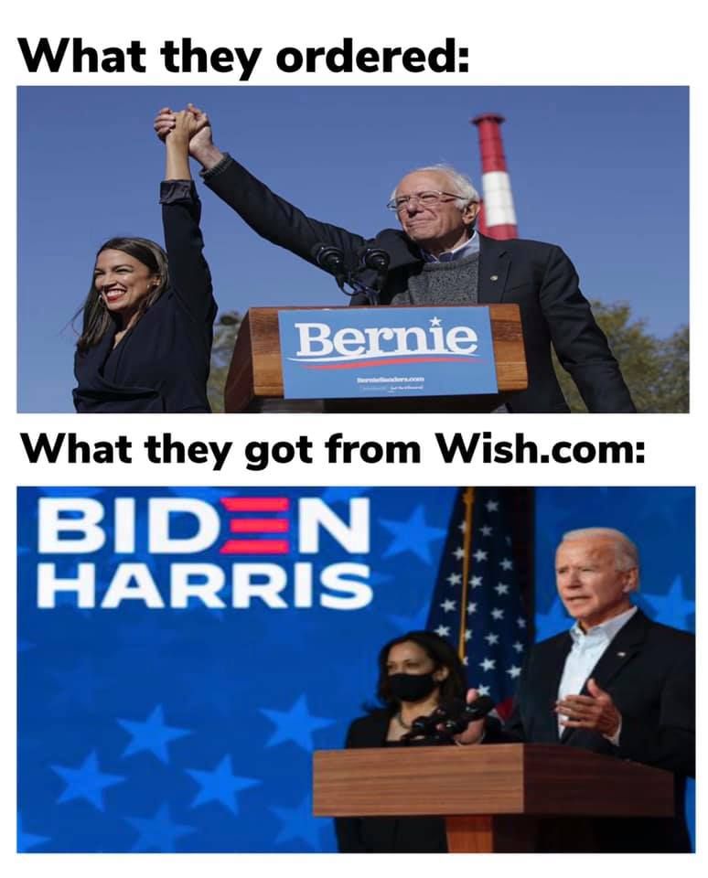 biden is to bernie what rand paul is to ron paul breh :(