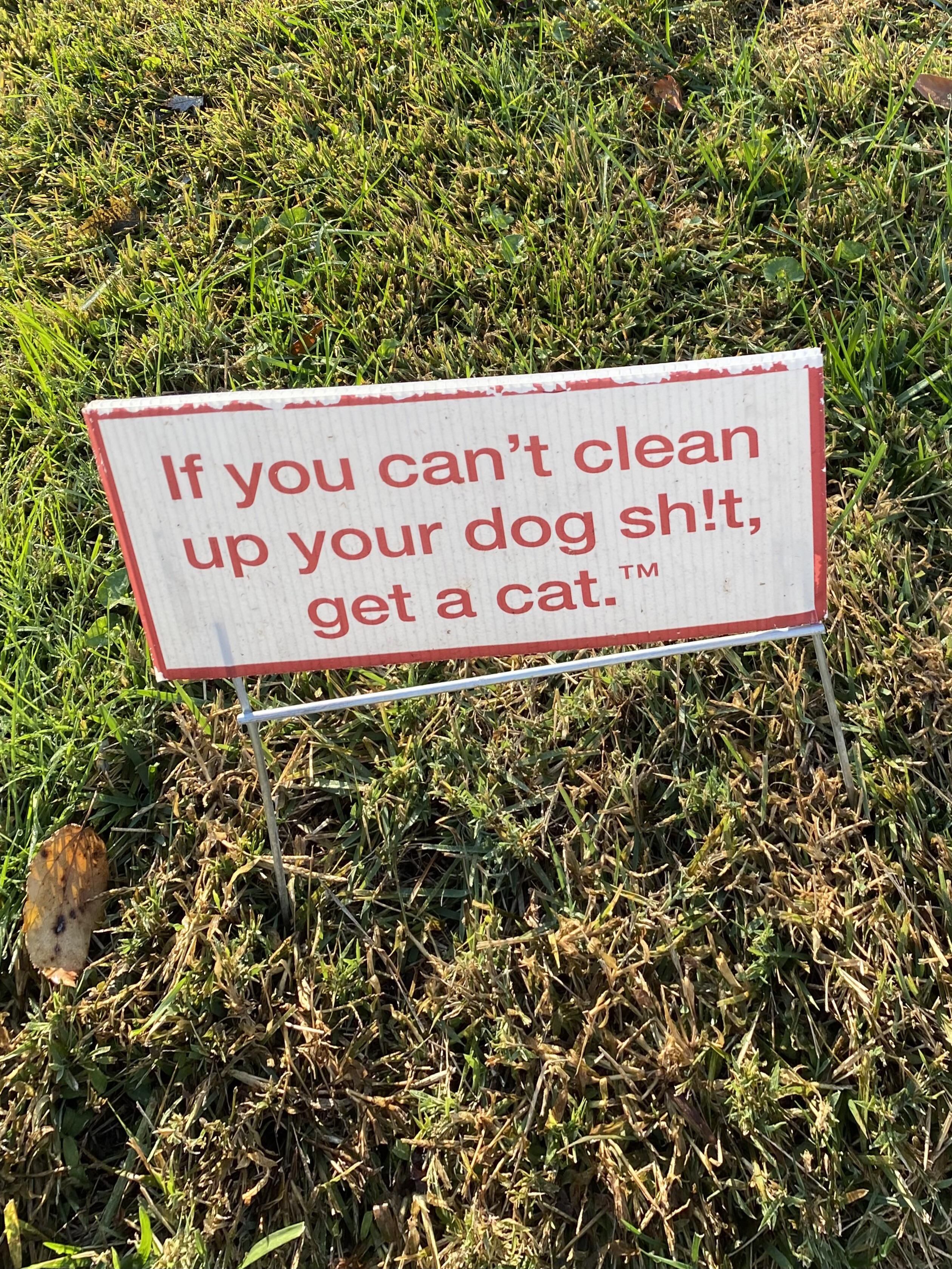 Saw this on my neighbors yard.