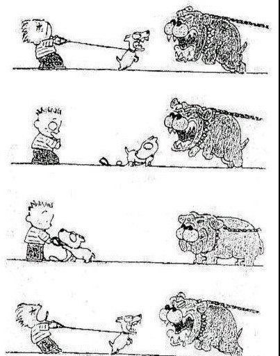 Clever Dog