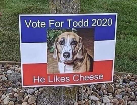 Todd 2020