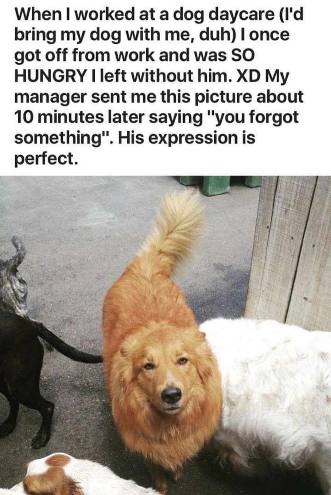 :'(