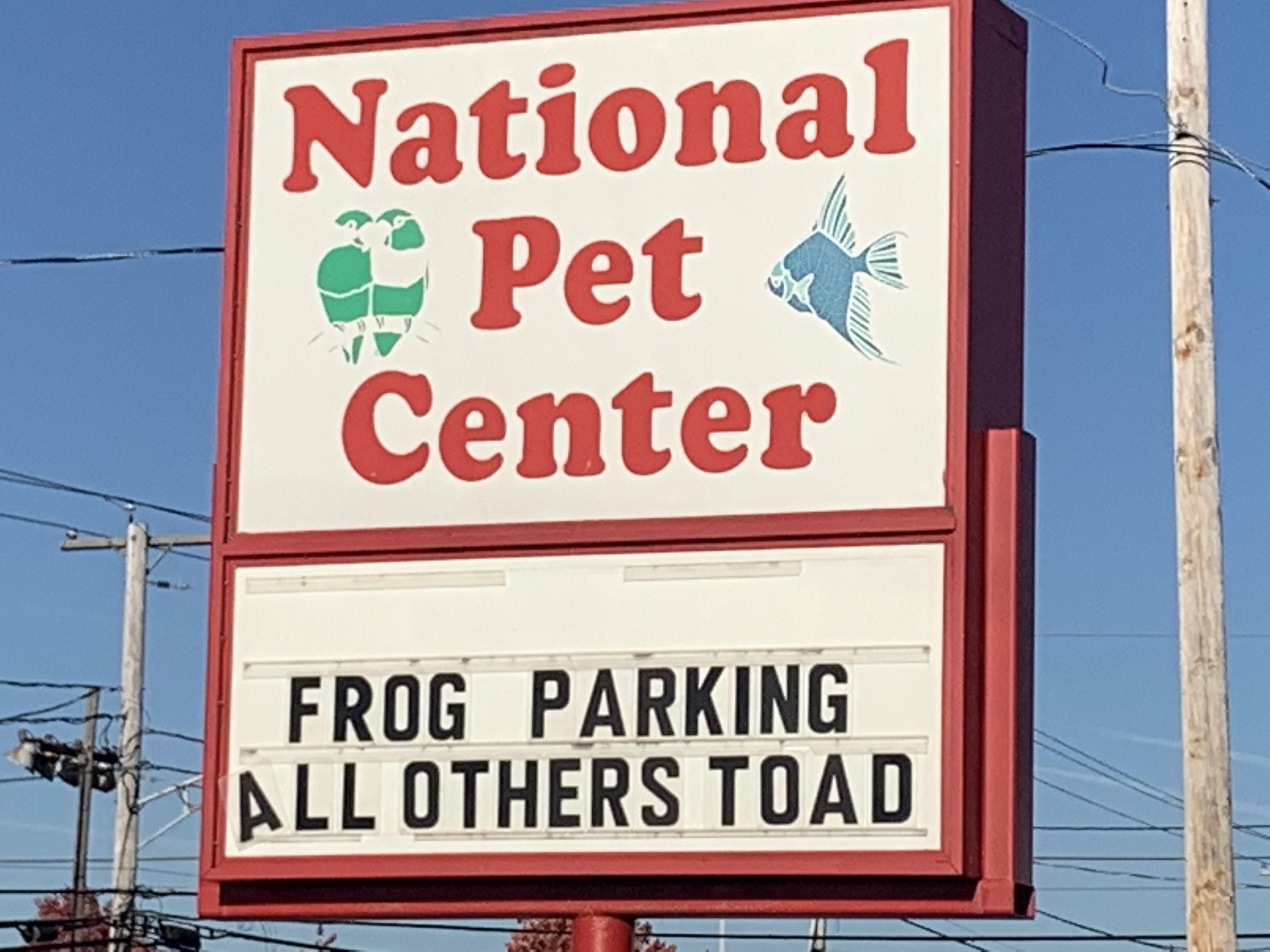 My local pet store owner must be a dad