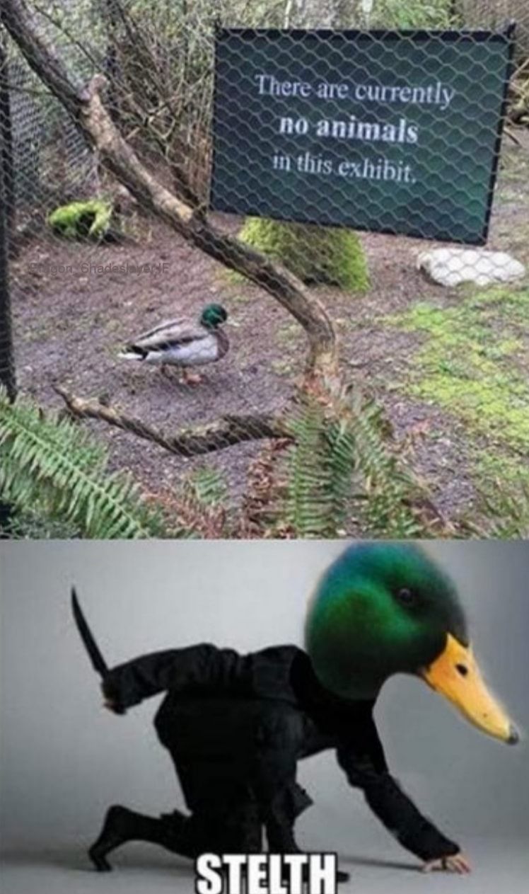 Can't see him
