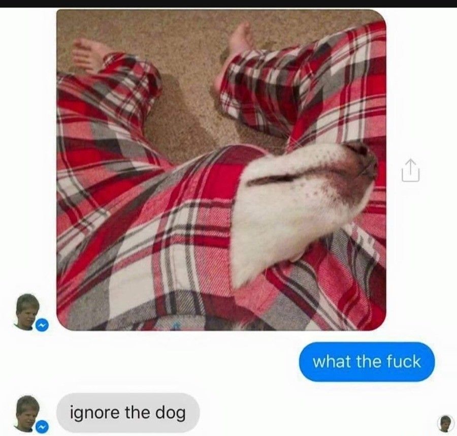 He heard there was a boner around