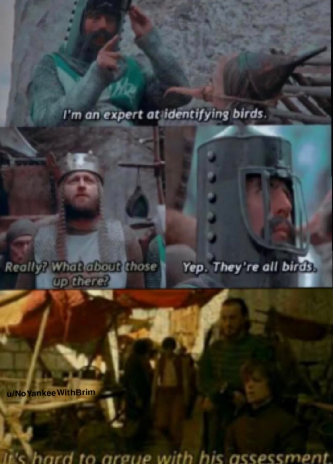 All birds sir!