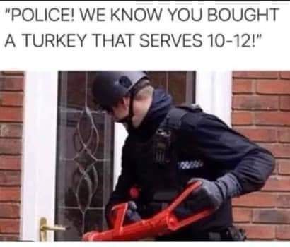 loicense anyone?