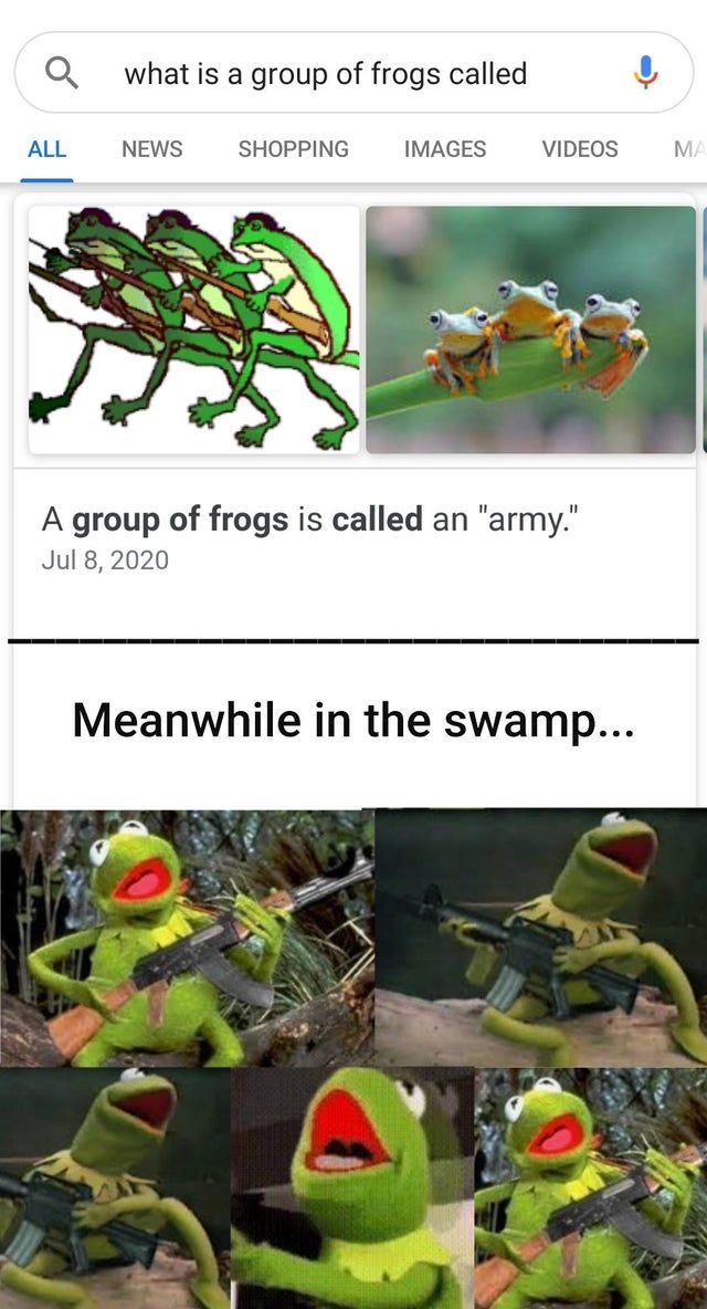 Hippity hoppity, your swamp is now my property