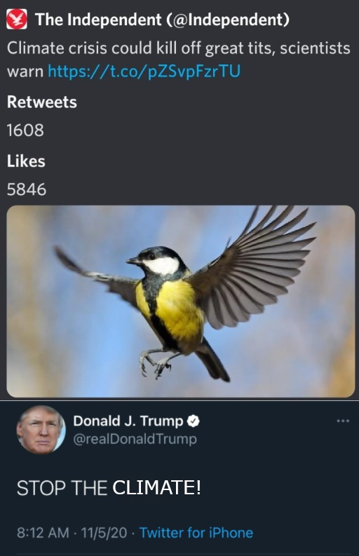 AAAAAAAAAAAAAAAA