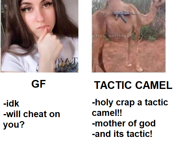 TACTIC CAMEL