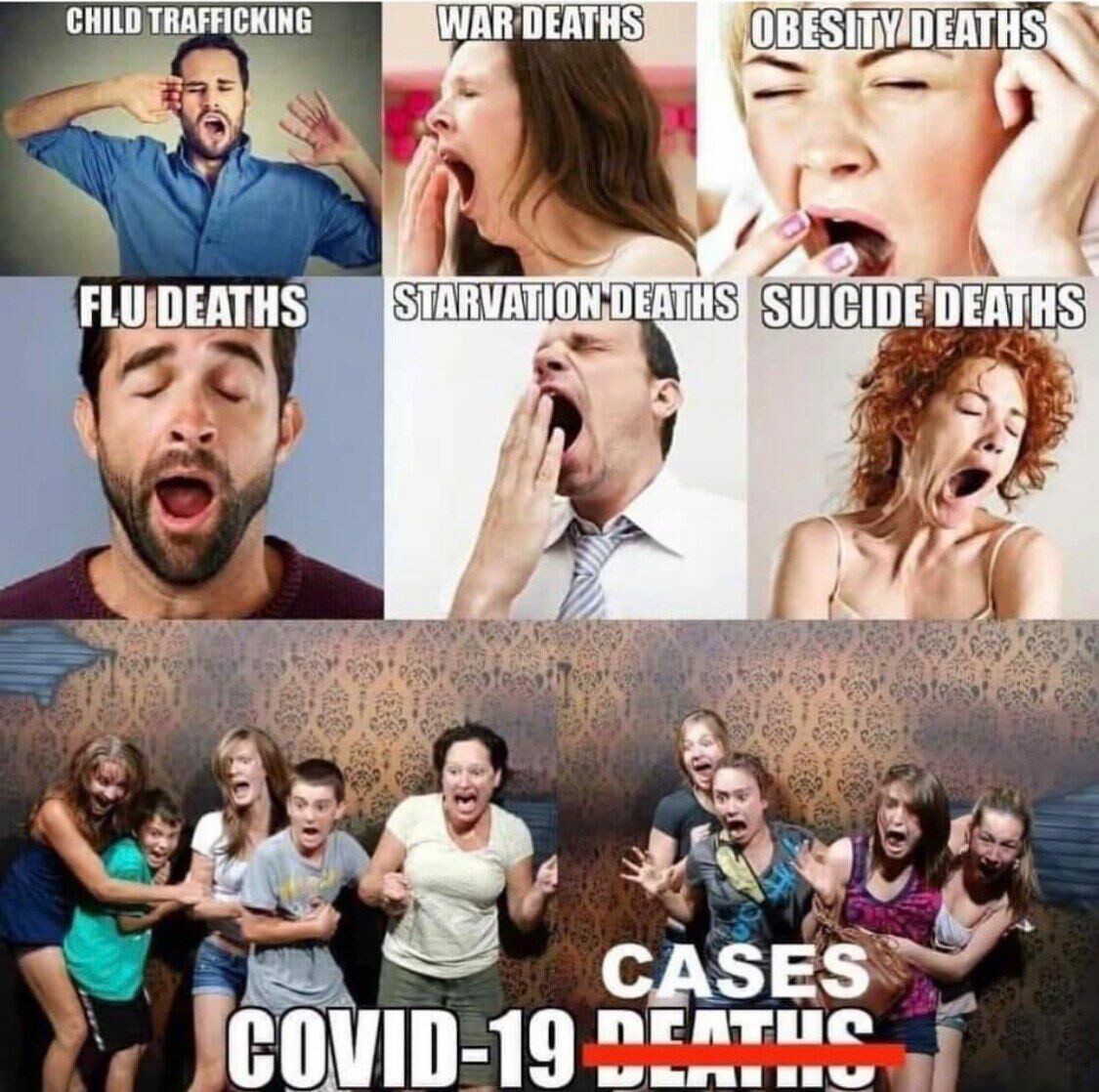 yawn