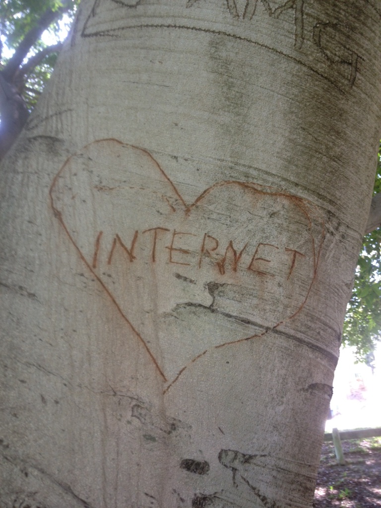 Saw this on a tree during my morning workout today.