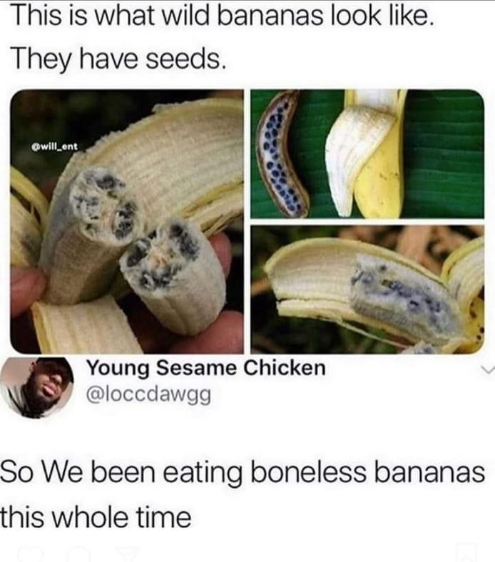 Mind is actually blown