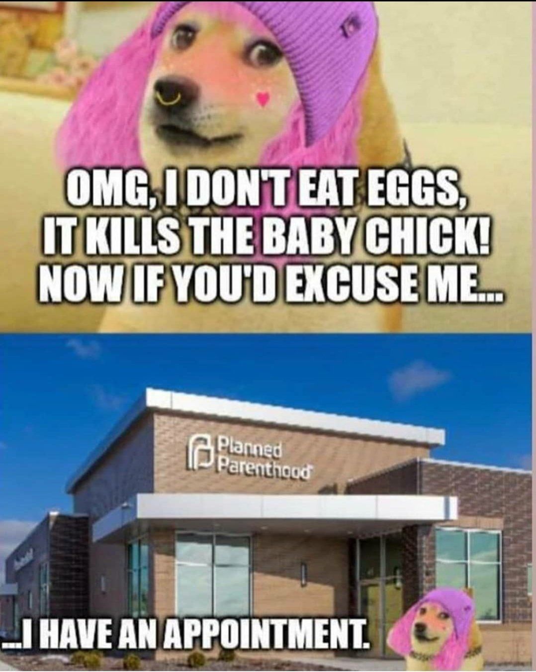 le hypocrisy has arrived