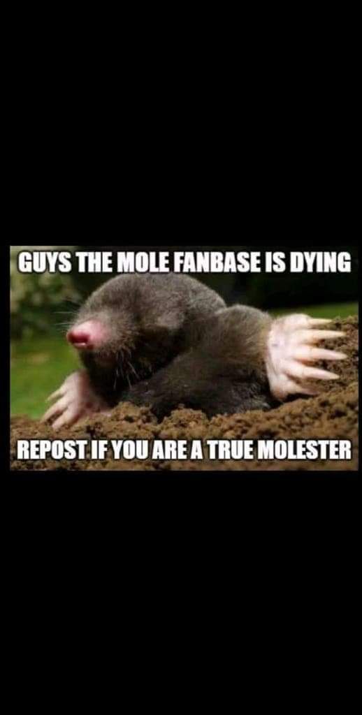 I'm a proud molester guys