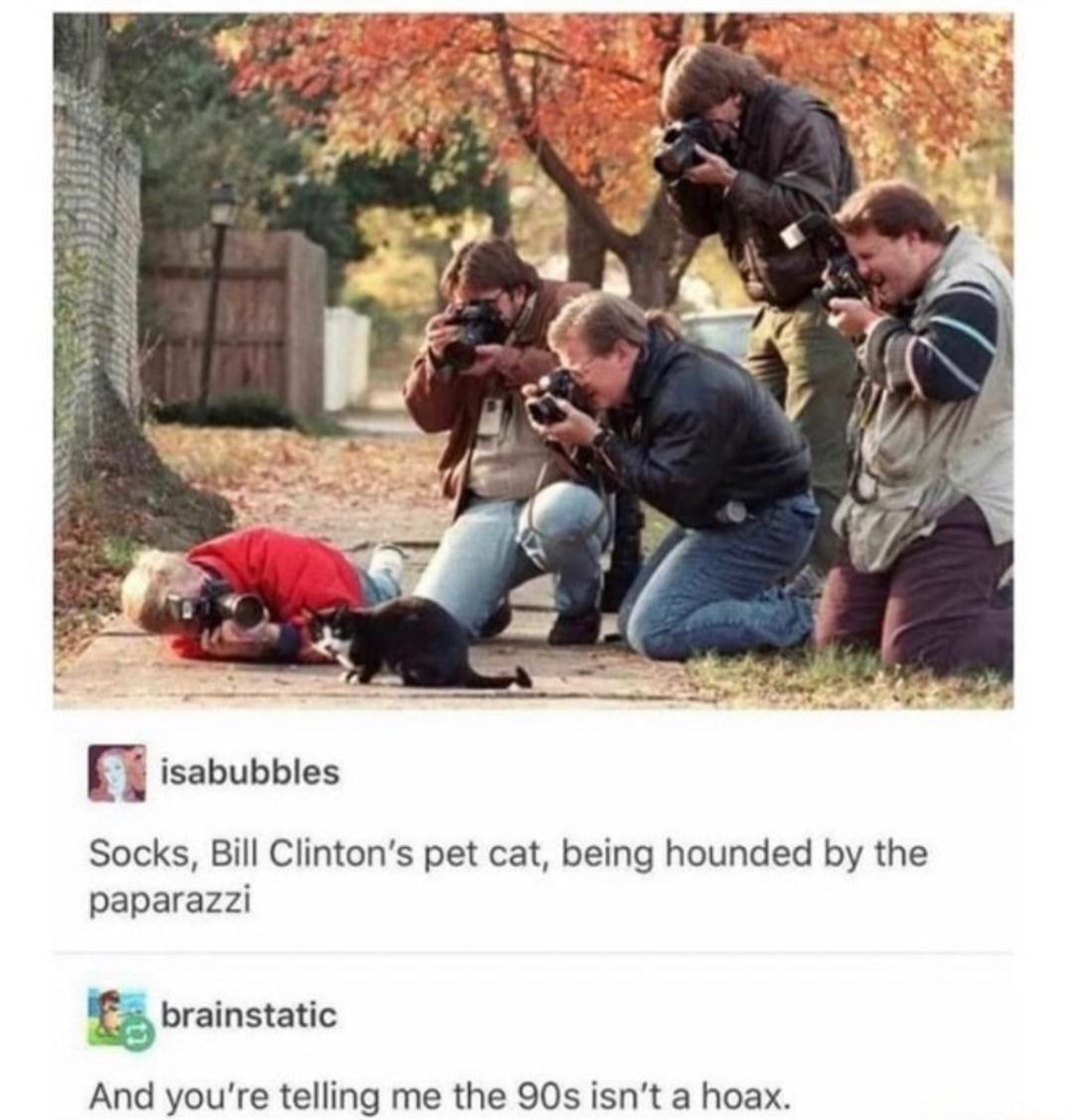 Cute boi