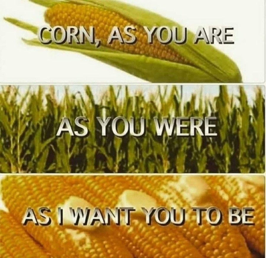 Live by the cob, die by the cob