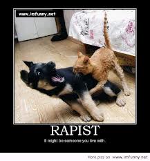 Rapist cat