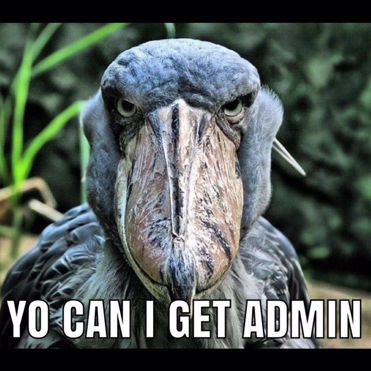 For the love of all memes pick one of us... Please