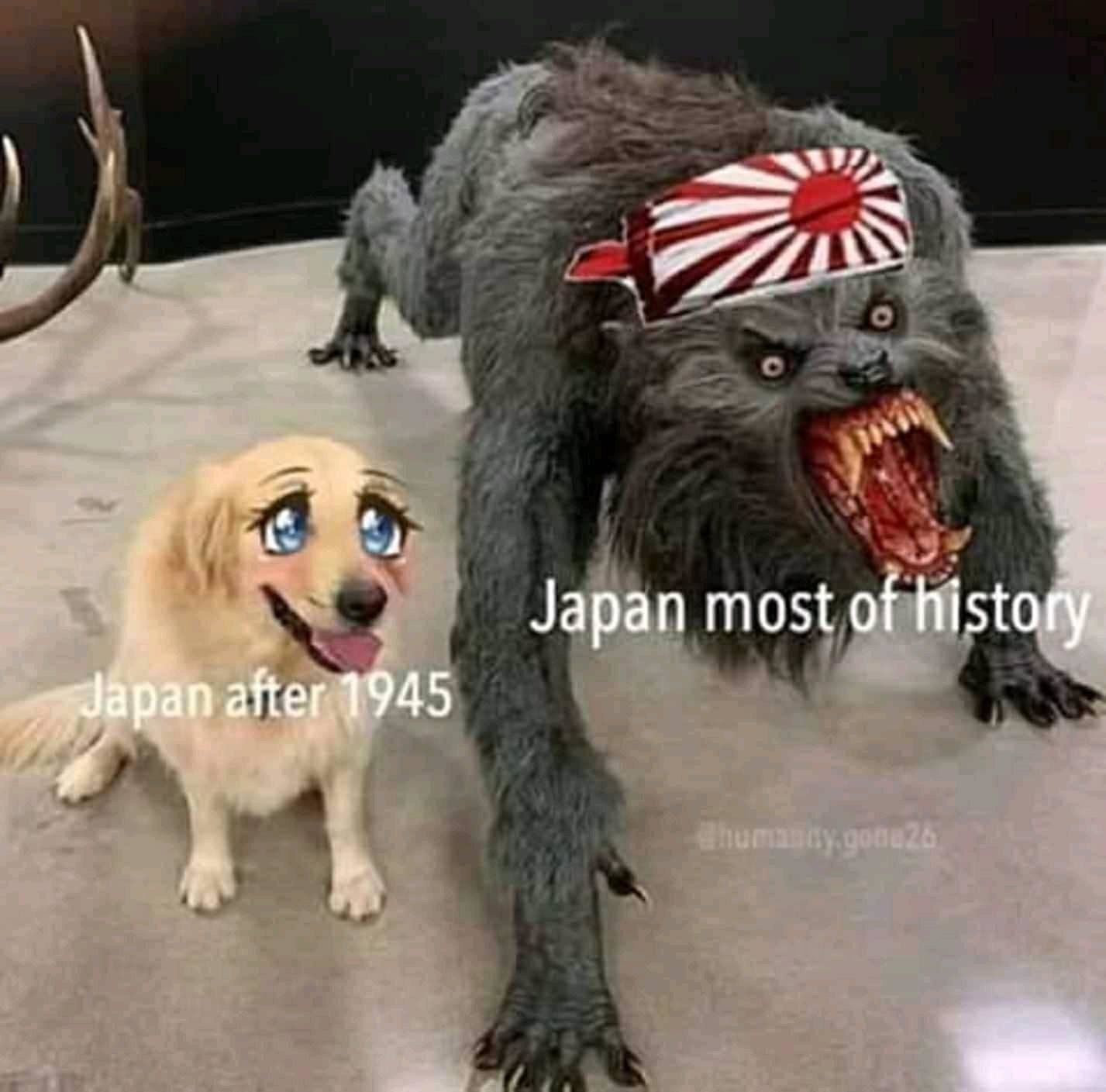 wan wan uguu