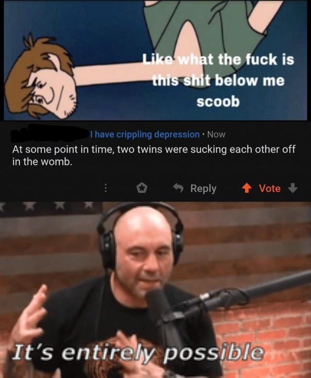 rddit moment