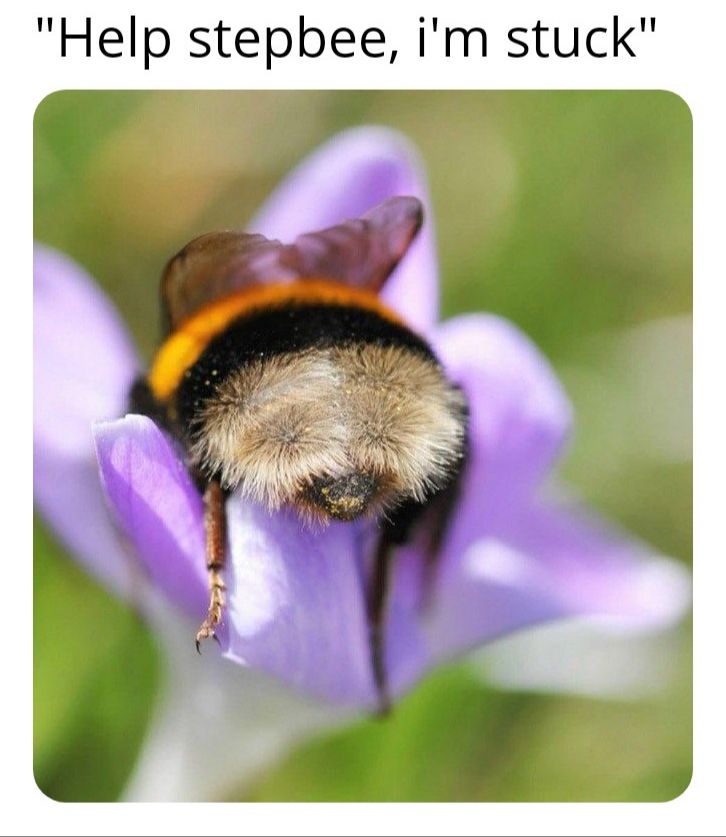 Stepbee, i'm hoome